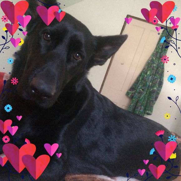 Meet your Posher, Richard - Picture 1 of 1